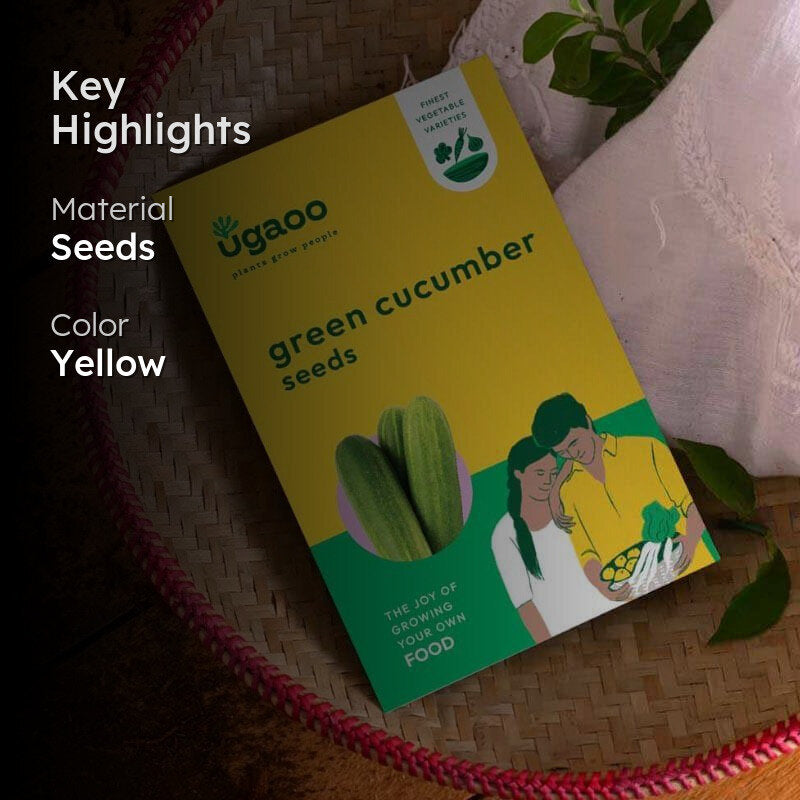 Ugaoo Green Cucumber Vegetable Seeds media 2