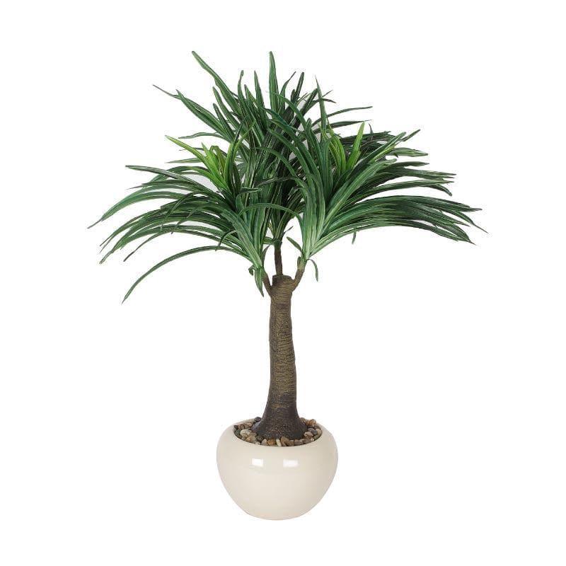 Faux Tall Nolina Bonsai In Ceramic Pot - 2.03 ft media 4
