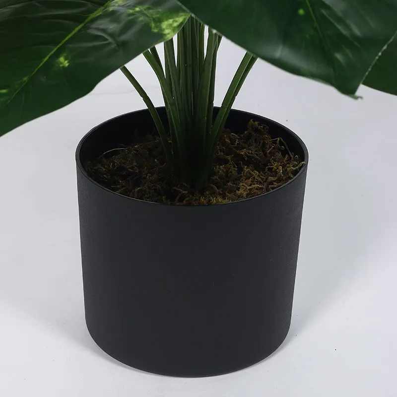 Dewroot Artificial Plant With Black Plastic Pot - 2.6 Feet media 5