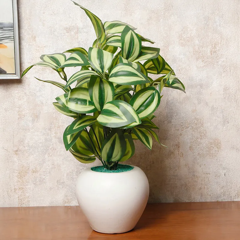 Draconis Artificial Plant With Black Plastic Pot - 1 Feet media 2
