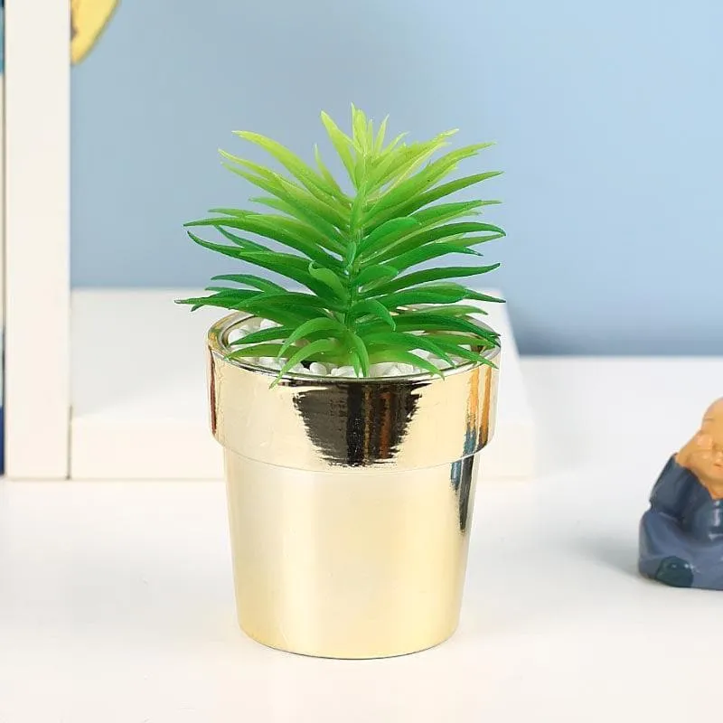 Faux Haworthia In Ceramic Pot - 14 cms media 1