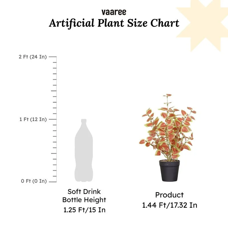 Artificial Natural Looking Coleous Big Plant With Black Fiber Pot (Orange) - 1.4 Feet media 7