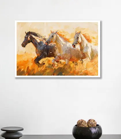 Cotton Canvas