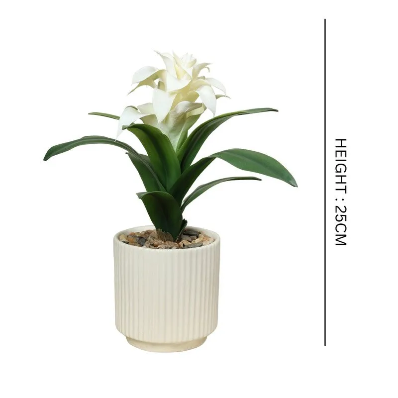 Artificial White Ginger Lily Bonsai Plant With Ceramic Pot - 0.9 Feet media 5