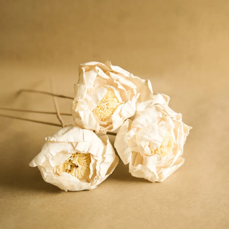 Natural Peony Handmade Dried Artificial Flower - Set Of Five media 5