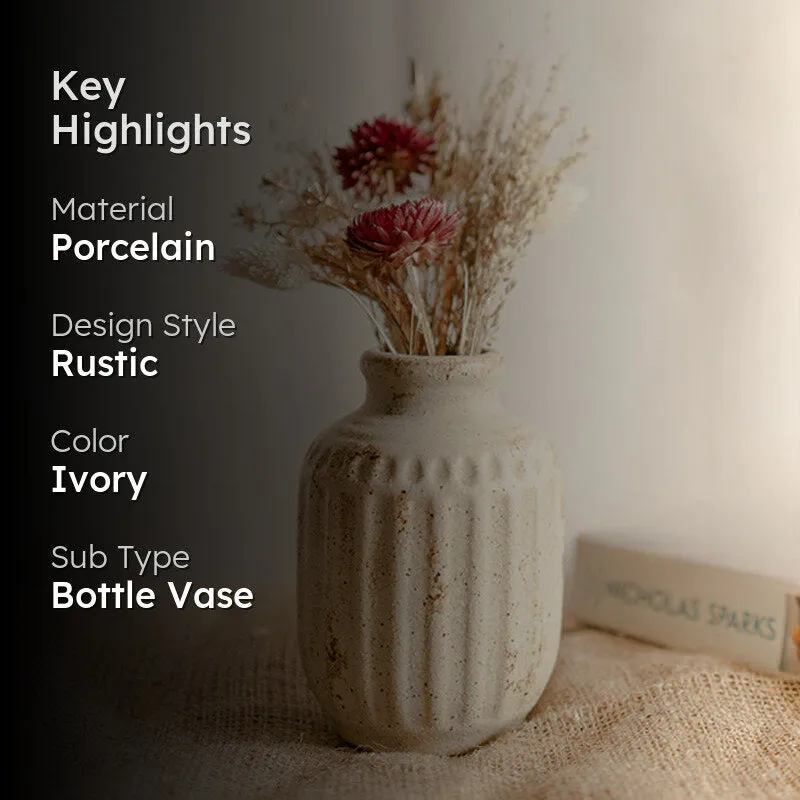 Sunhusk Neo Porcelain Vase media 2