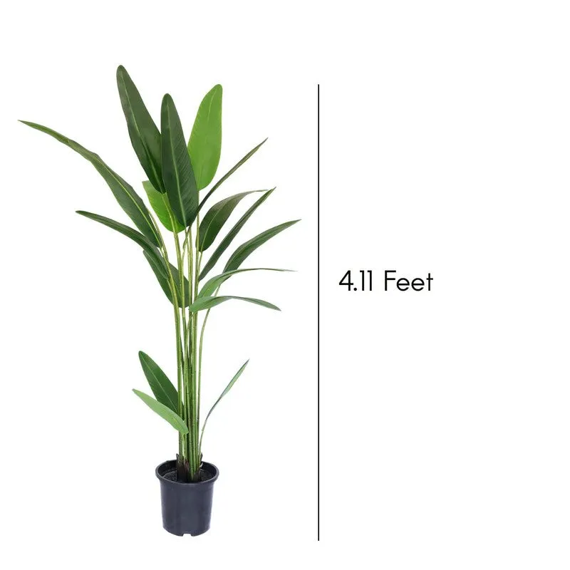 LioraLeaf Artificial Banana Plant With Black Plastic Pot - 4.1 Feet media 7