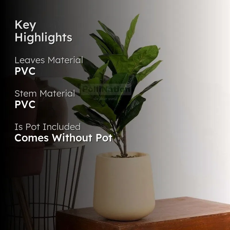 Artificial Small Rubber Plant Without Pot - 2.2 Feet media 2
