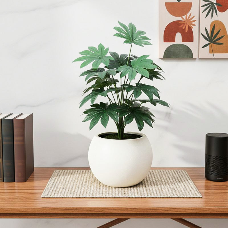 GreenMuse Japanese Aralia Artificial Plant Without Pot - 2.3 Feet
