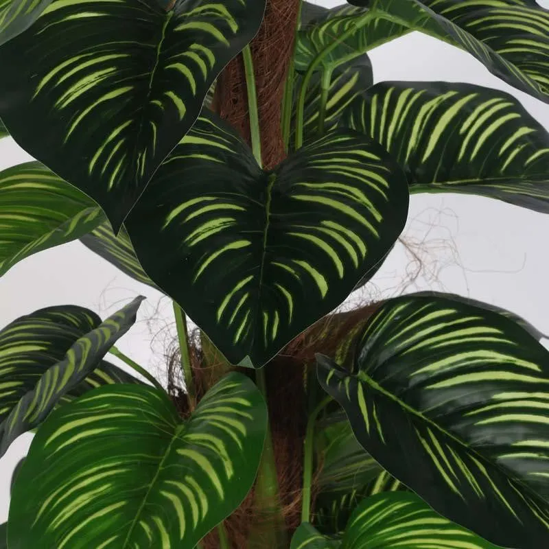 Faux Lush Peperomia Plant With Black Plastic Pot -  4 Feet media 4
