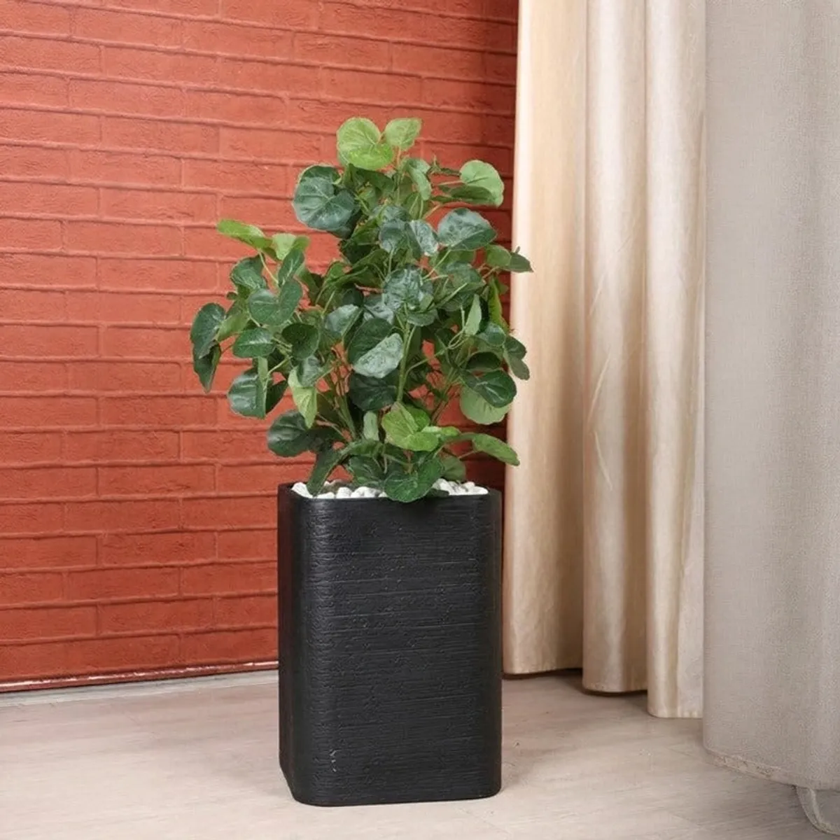 Black floor planter with a leafy plant against a red brick wall