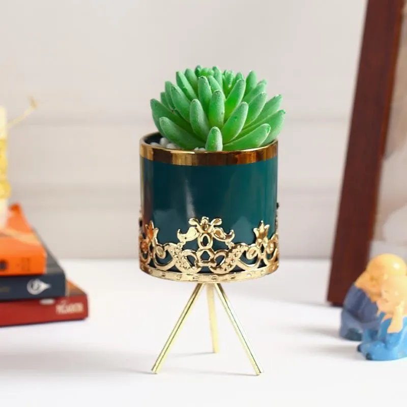 Faux Gasteria In Blue Ceramic Pot - 18 cms media 1