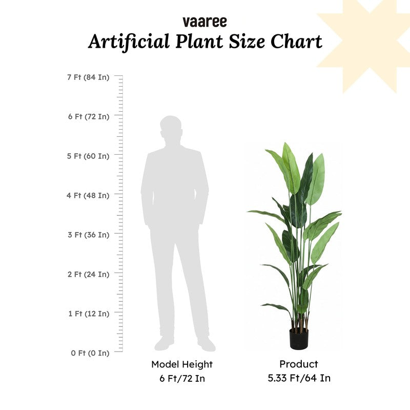 Artificial Strelitzia Plant With Black Fiber Pot - 5.2 Feet media 7