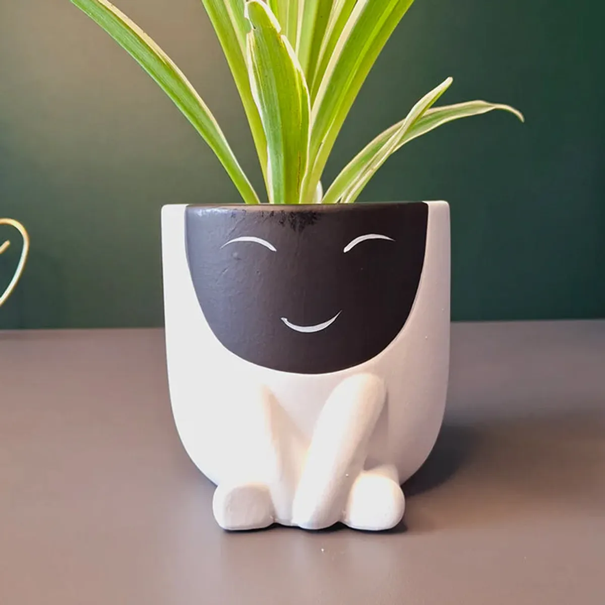 Front view of white sculptural planter with black smiling face and plant