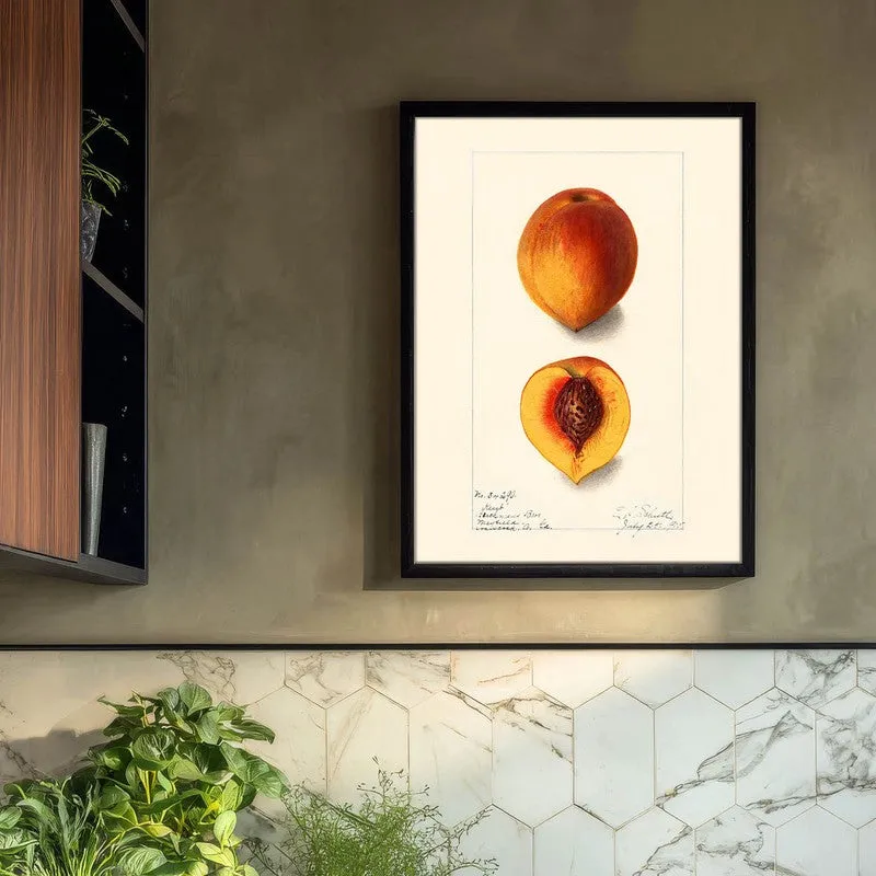 FruitAura Archival Canvas Wall Art - Black media 3