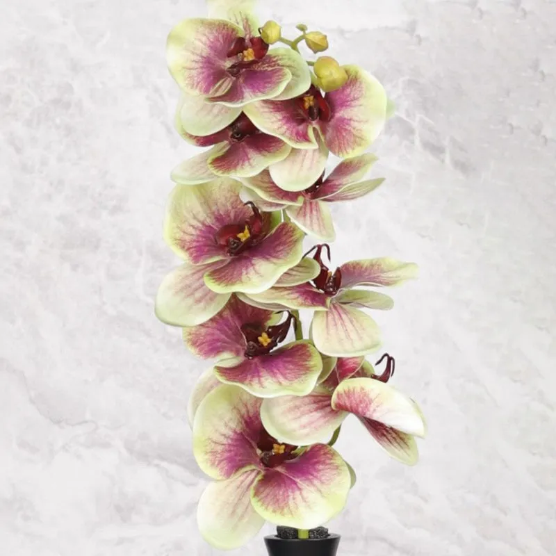 Decorative Artificial Orchids Flowers Stick - Green media 5
