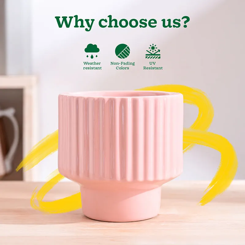 Ugaoo Classic Stria Ceramic Planter - Soft Pink media 6