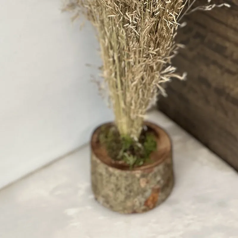 Field Fade Dried Grass - Beige media 5