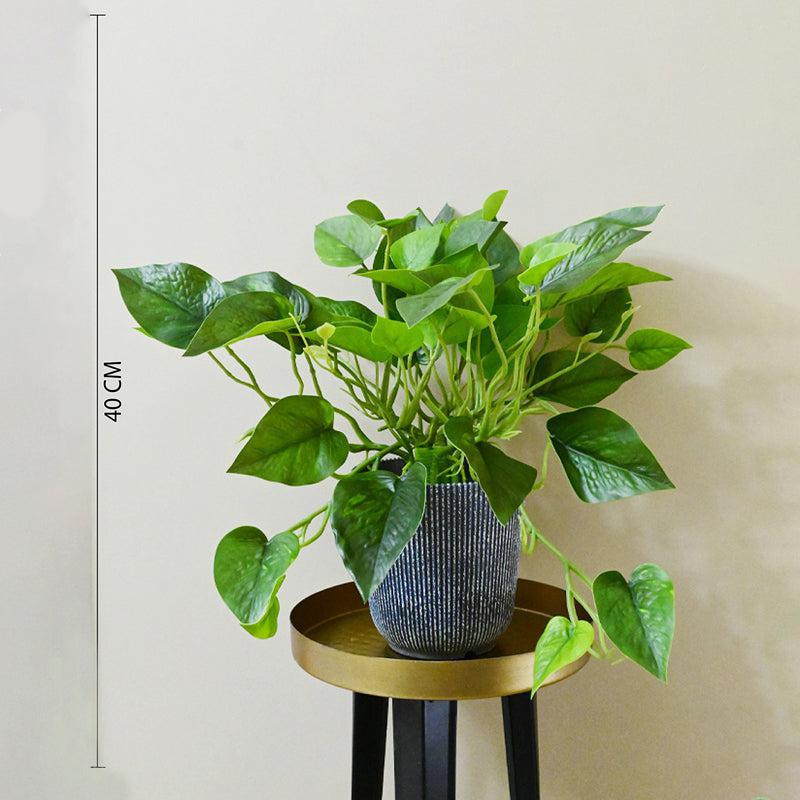 Pothera Artificial Pothos Plant With Black Plastic Pot - 40 cm media 6
