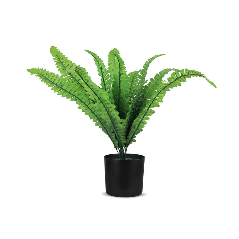 Fernex Artificial Plant With Plastic Pot - 1.5 Feet media 4