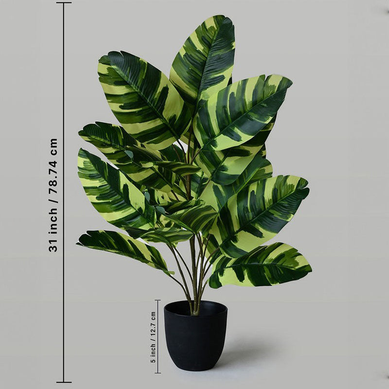 Faux Everlasting Fiddle Fig Plant With Black Plastic Pot - 79 cm (2.6 ft) media 5