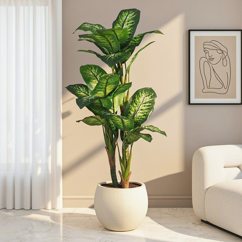 Ariadne Artificial Dieffenbachia With Black Plastic Pot - 5.3 Feet
