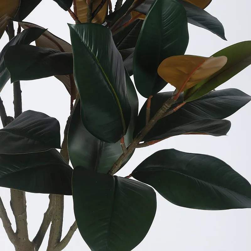 Folialis Artificial Red Rubber Plant With Black Plastic Pot - 5 Feet media 4