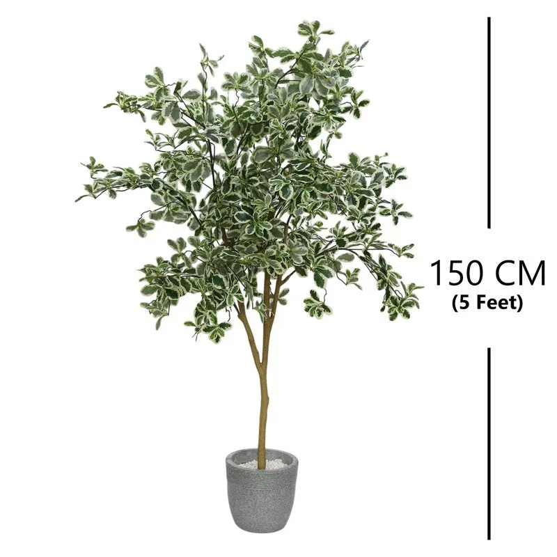 Plantara Artificial Baby Ficus Plant - 4.9 Feet media 6