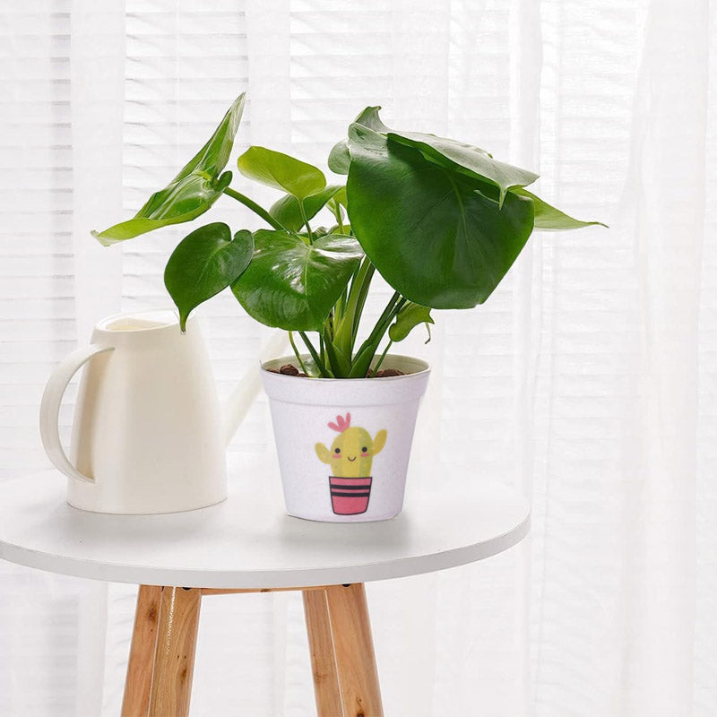 Cactus Cutie Planter media 7