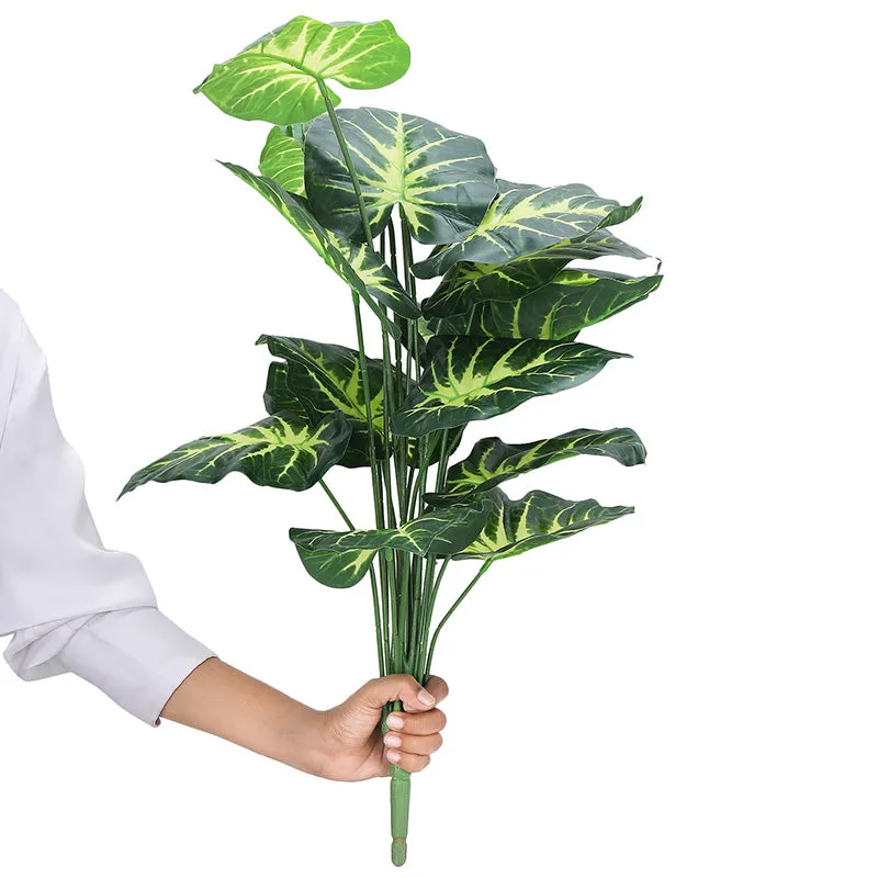 Faux Botanic Light Green Money Plant - 2 Feet media 5