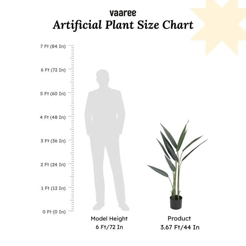 Chloro-faux Artificial Plant With Black Plastic Pot - 3.6 Feet media 7