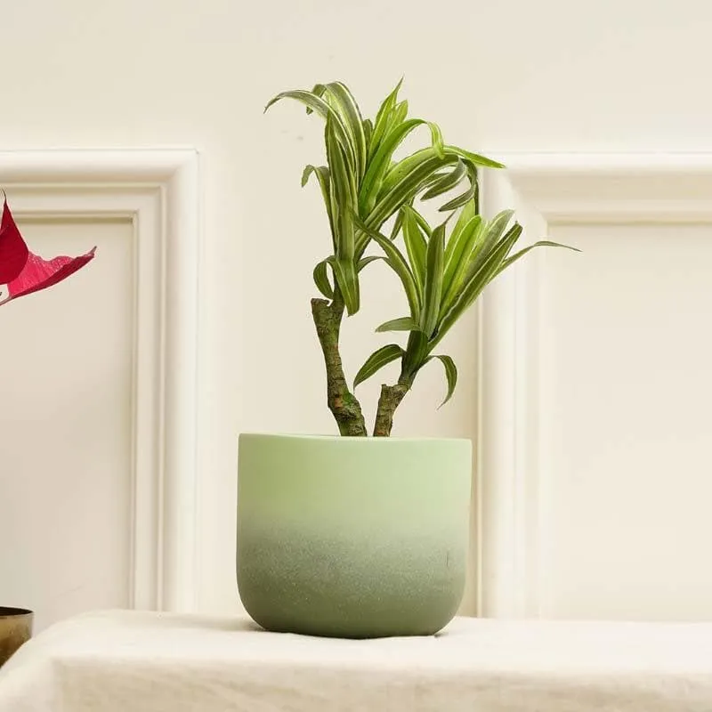 Ombresque Planter - Green media 3