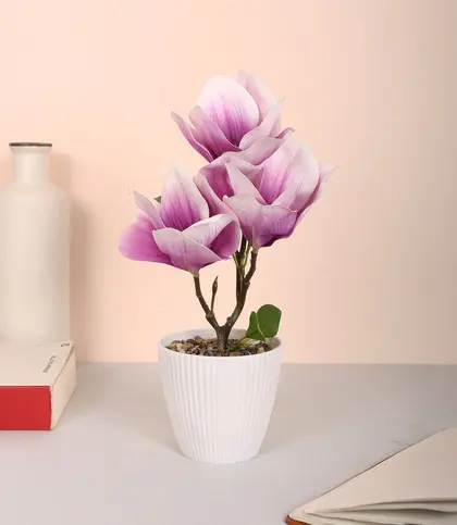 PU(Polyurethane) · Plastic