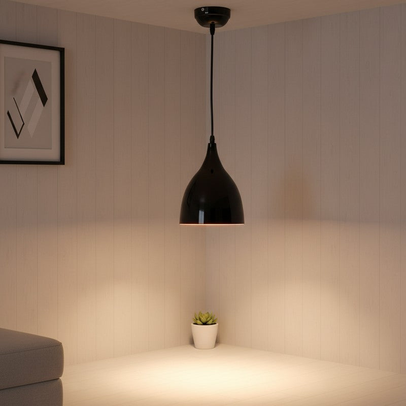 Matte Black Iron Ceiling Lamp
