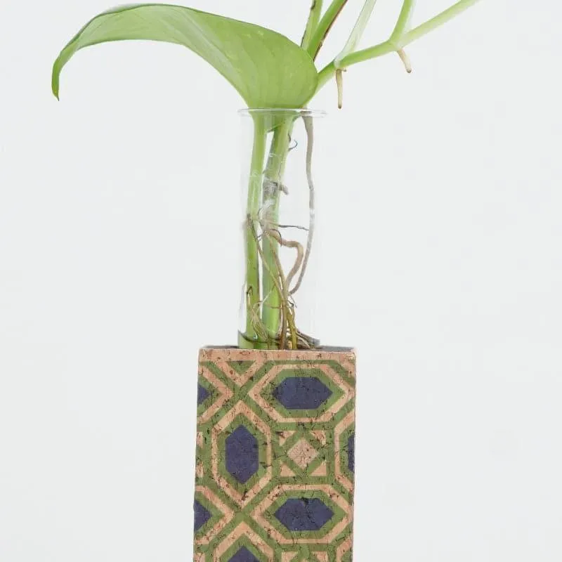 Reema Cork Testube Planter media 3