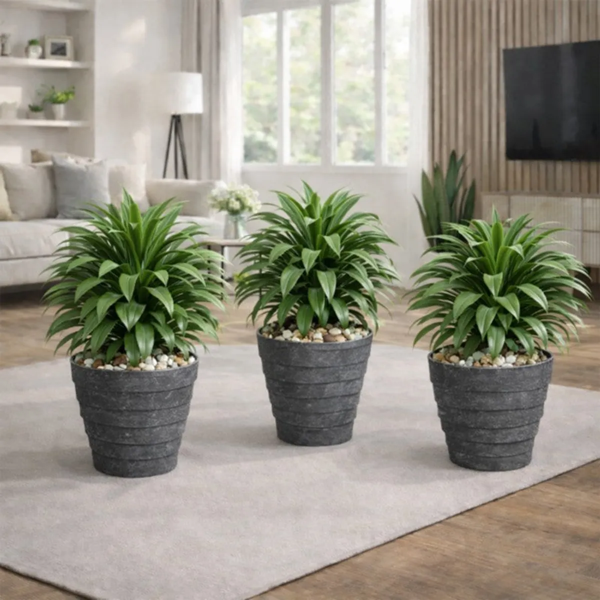 Three grey ribbed planters with green plants in a bright living room
