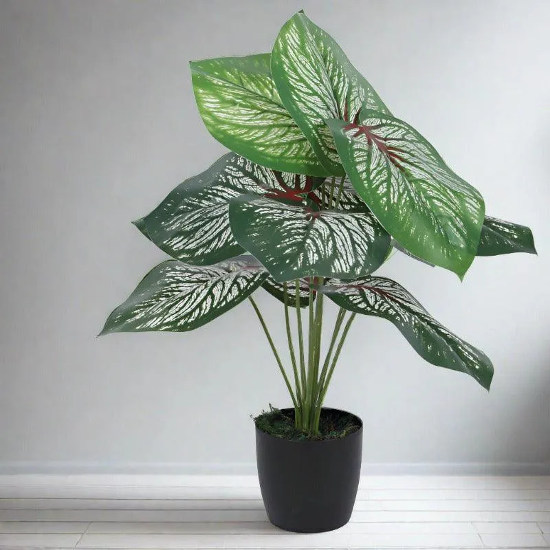 Faux Deco Aglonema Silk Plant With Black Plastic Pot - 55 cms media 2