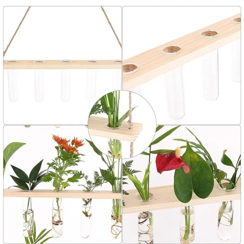 Arana Test Tube Planter media 7