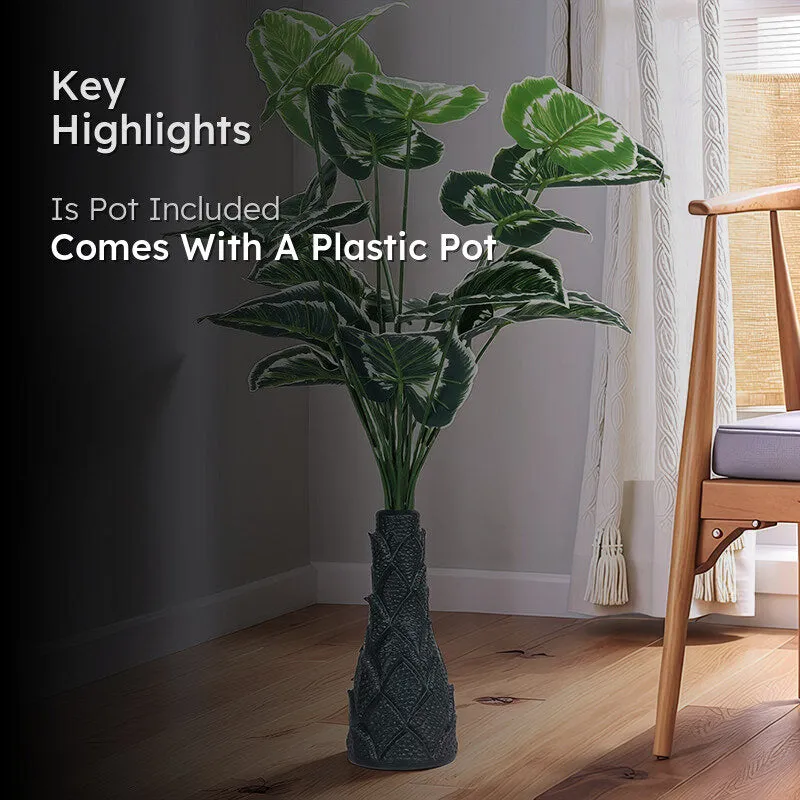 Infinita Artificial Money Plant III With Black Plastic Pot (White, Green) - 3 Feet media 2