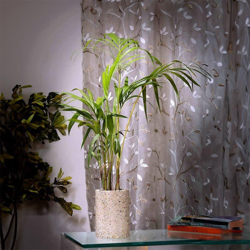 Beige Terrazzo Cylindrical Hand Crafted Marble Planter - Small media 3