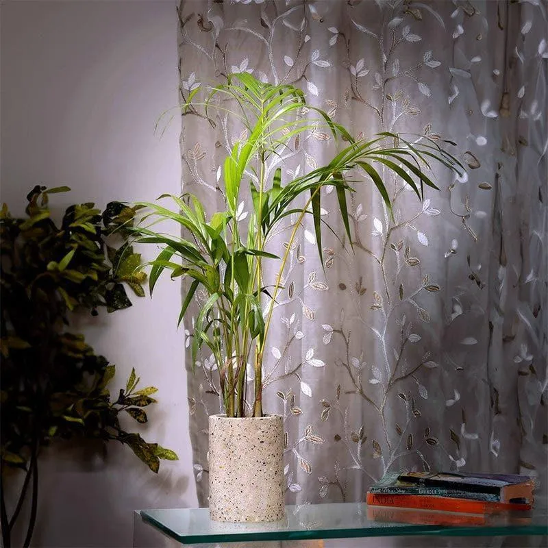 Beige Terrazzo Cylindrical Hand Crafted Marble Planter - Small media 3