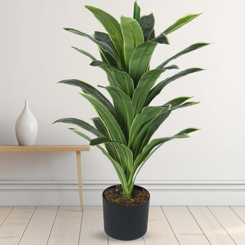 Faux Lush Dracaena Reflexa Plant With Black Plastic Pot -  2.8 Feet media 3