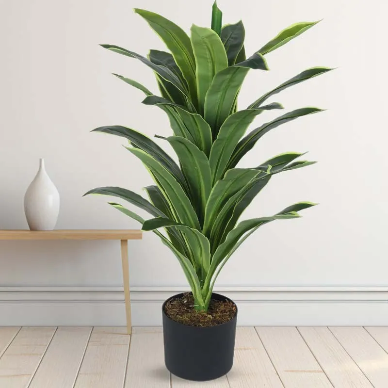 Faux Dracaena Reflexa plant with glossy green leaves in a black pot