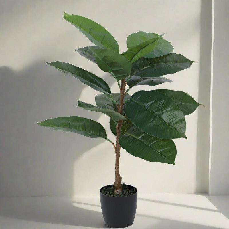 Faux Green Rubber Plant With Black Plastic Pot - 2.46 ft media 4