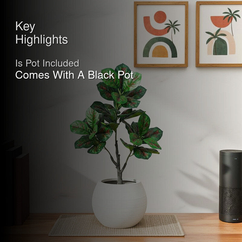 Faux Everlasting Aglaonema Plant With Black Plastic Pot - 95 cm (3.1 ft) media 2