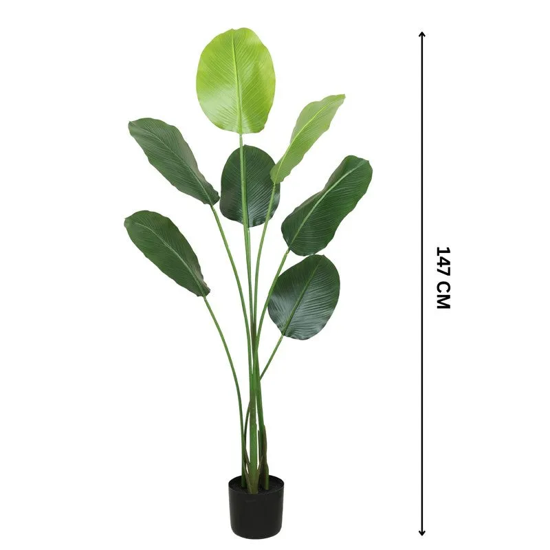Artificial Calathea Plant With Black Fiber Pot - 4.8 Feet media 6
