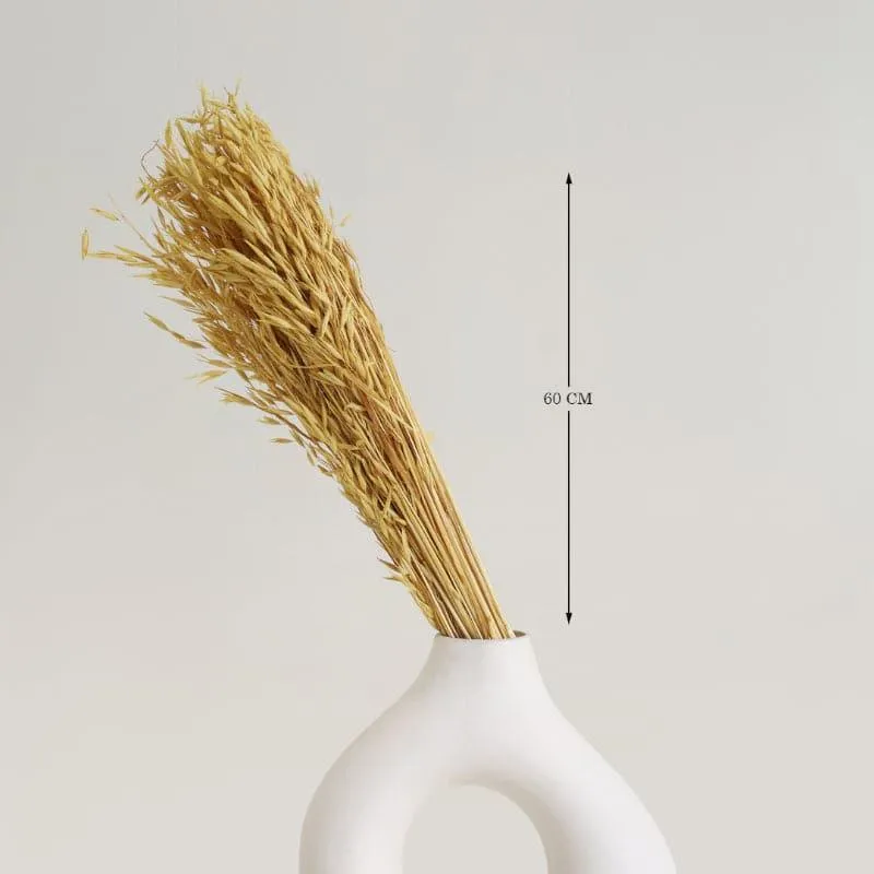 Hazo Millet Grass Dried Havana Grass Bunch - Yellow media 4