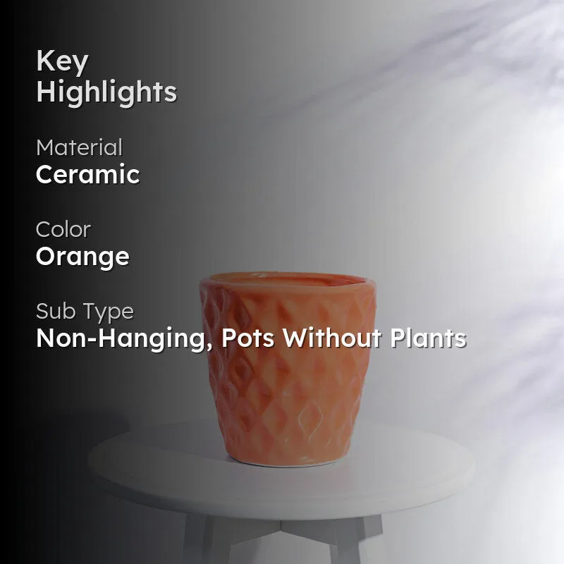 Ugaoo Argyle Orange Ceramic Pot media 2