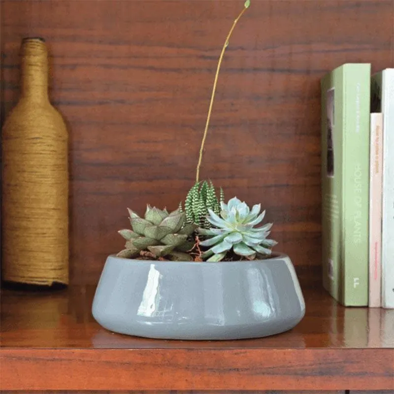 Ugaoo Tulip Fantasy 6032 Grey Ceramic Pot media 3