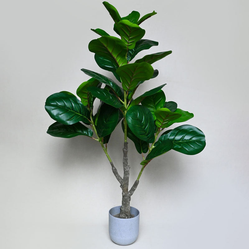 Faux Everlasting Fiddle Leaf Fig  Plant With Black Plastic Pot - 95 cm (3.1 ft) media 5